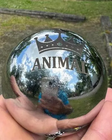 Camping Animal King Esnandes Exterior photo