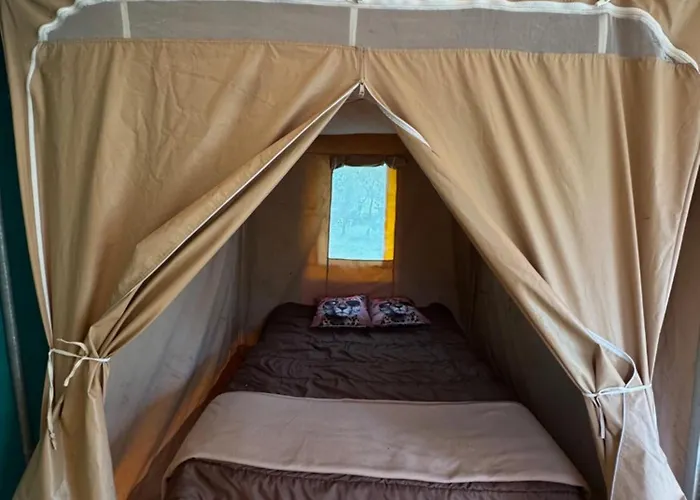 Camping Animal King