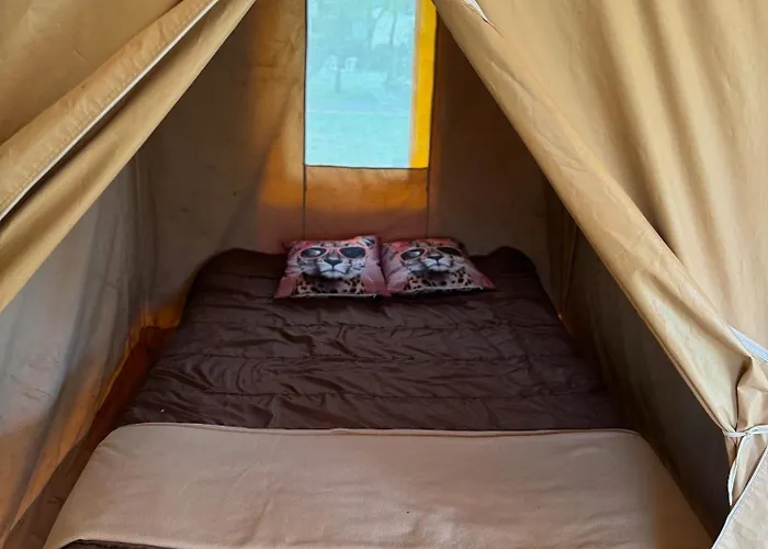 Camping Animal King