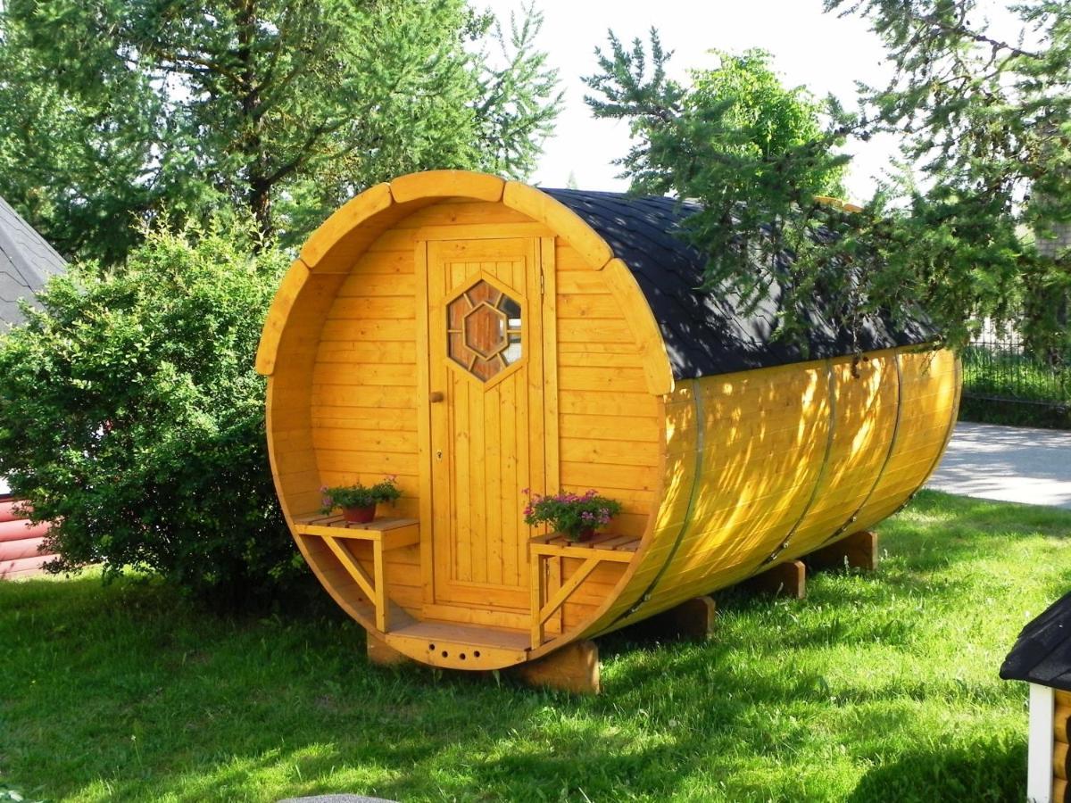 Camping Animal King