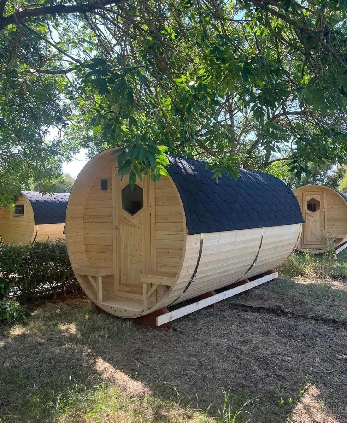 Animal King Camping