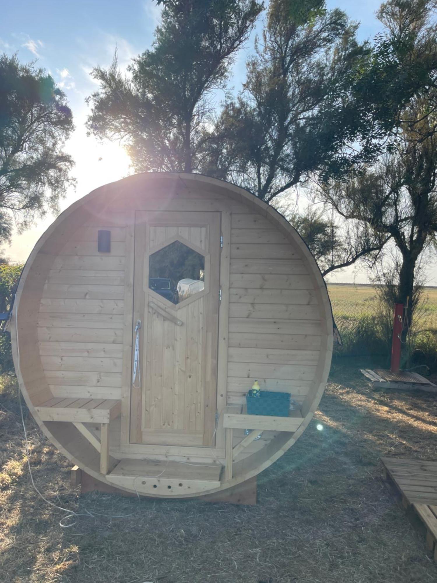 Camping Animal King