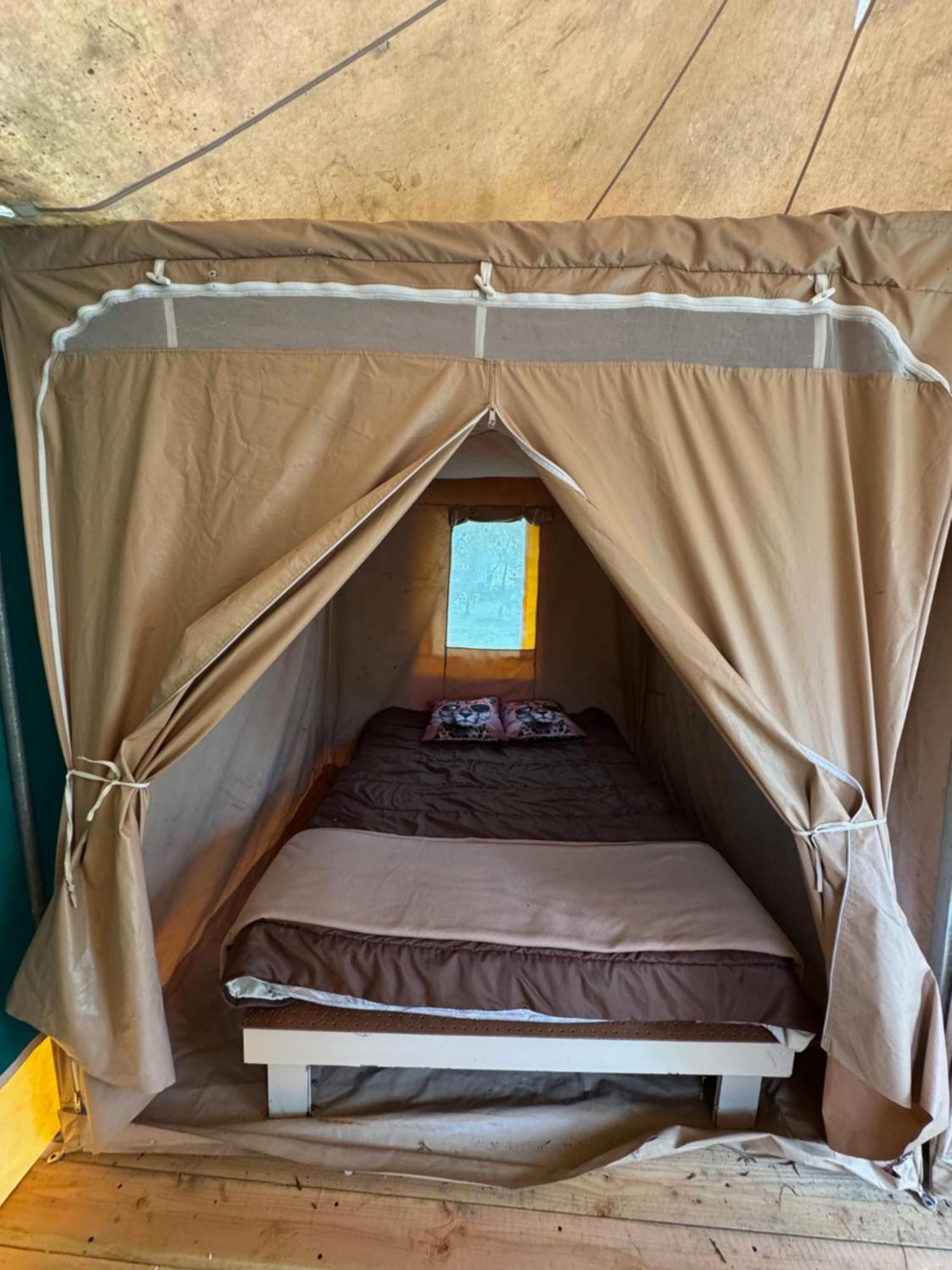 Campsite Animal King