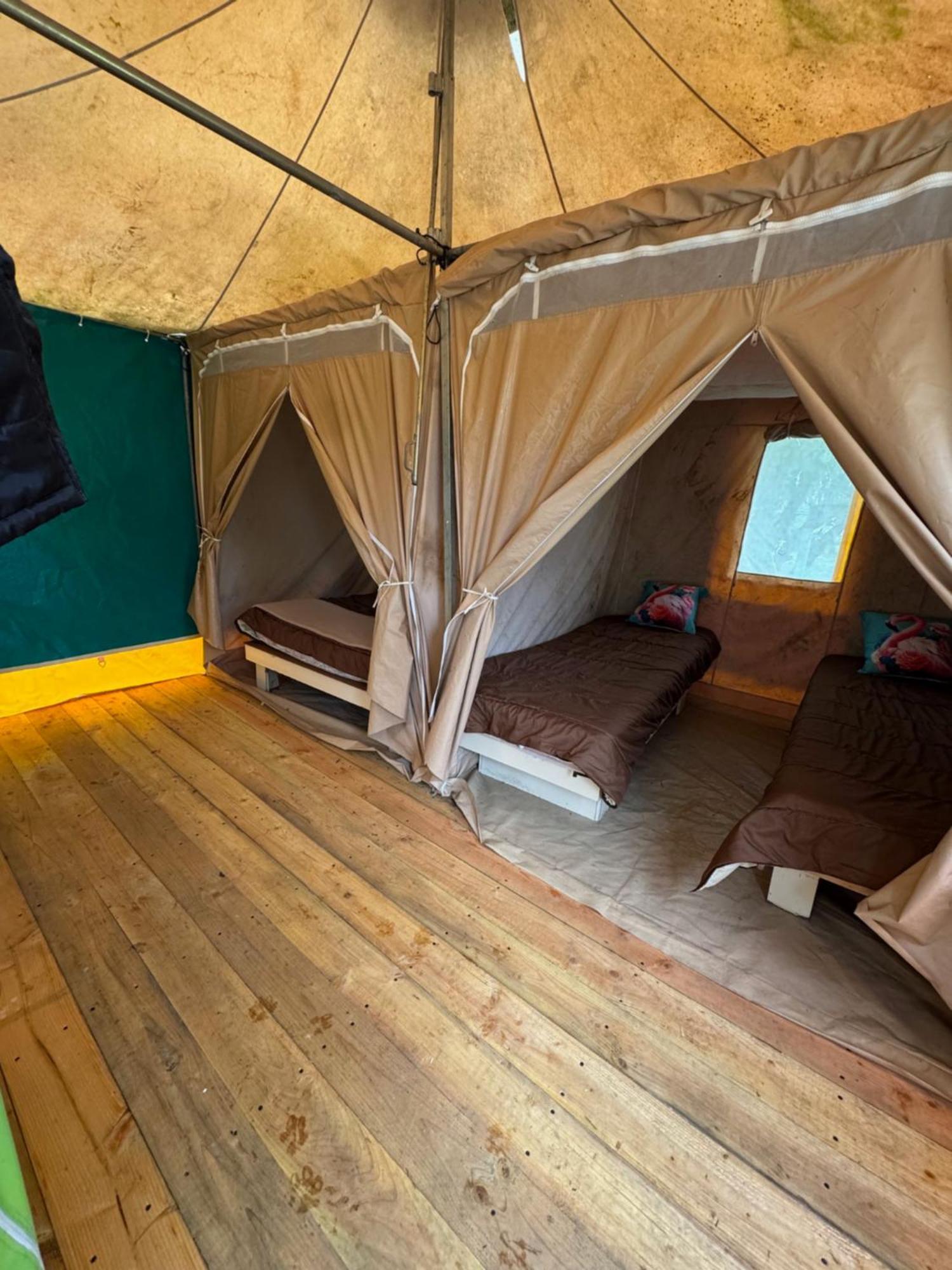 Animal King Camping *