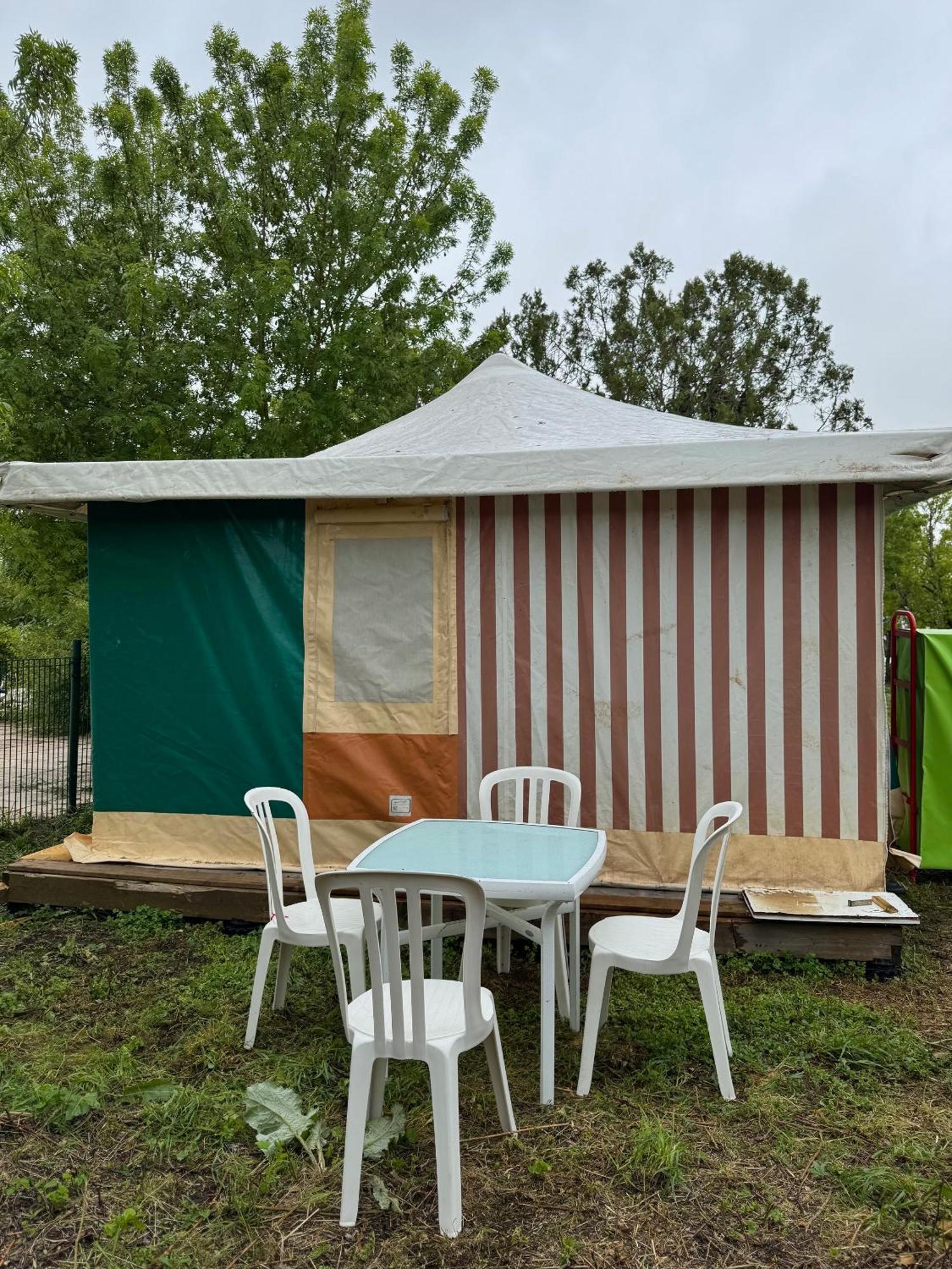 Camping Animal King *