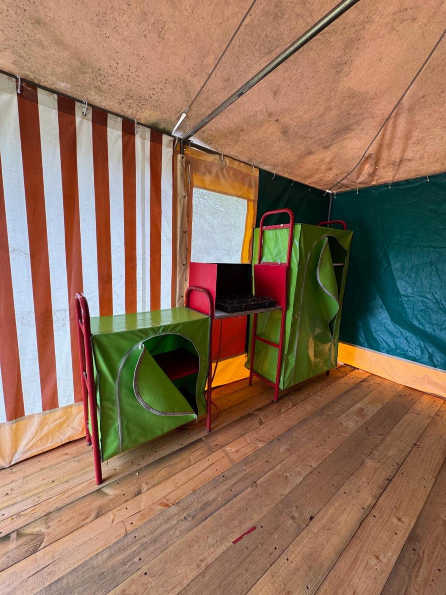 Camping Animal King