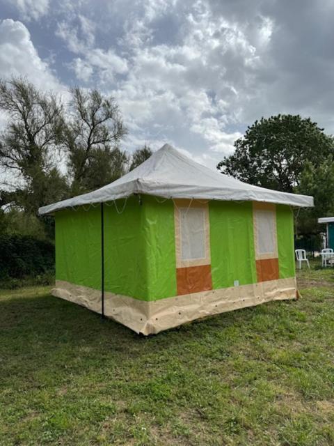 Camping Animal King