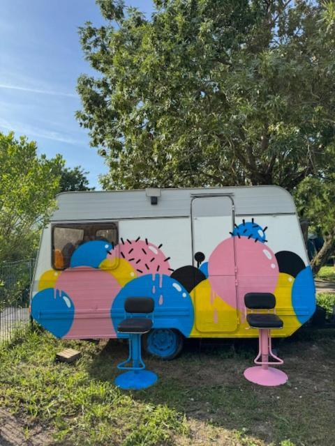 Animal King Camping *