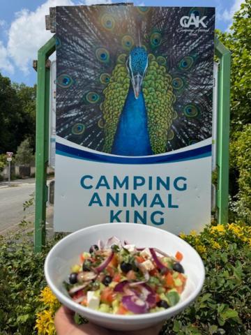 Camping Animal King *