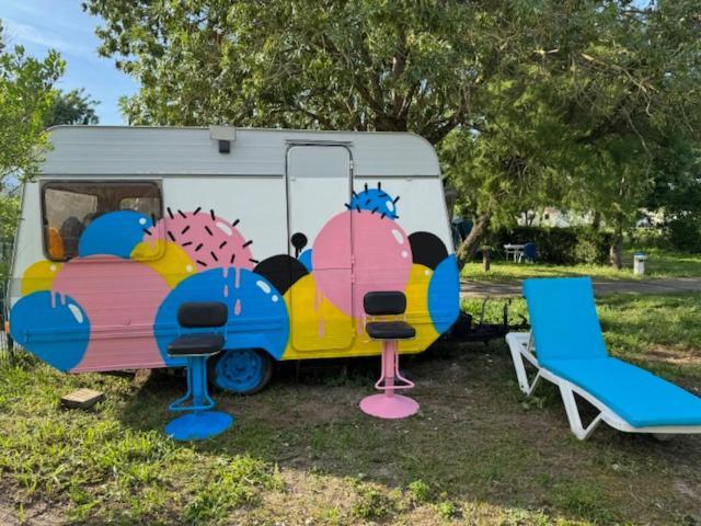 Camping Animal King