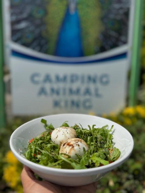 Animal King Camping Esnandes